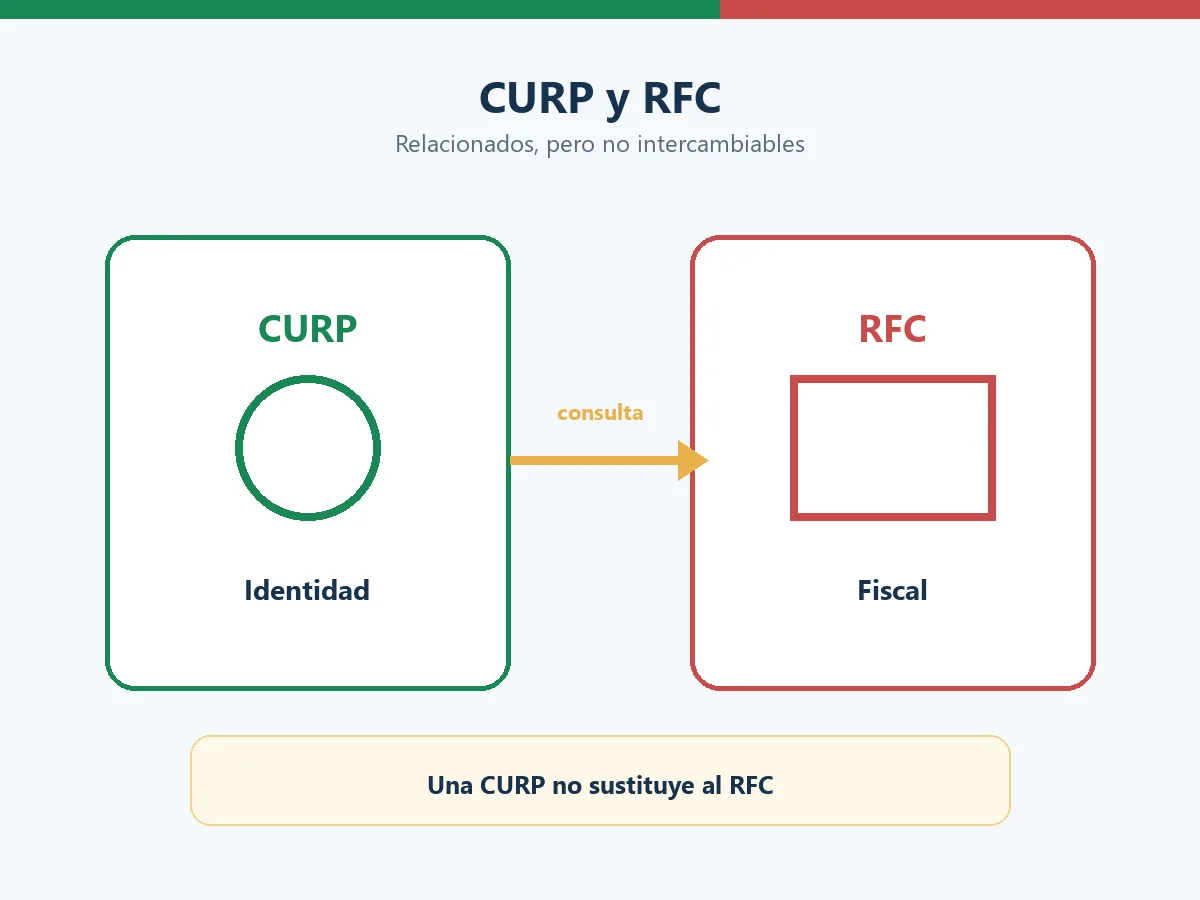 Diagrama editorial que separa la consulta de CURP de la consulta de RFC