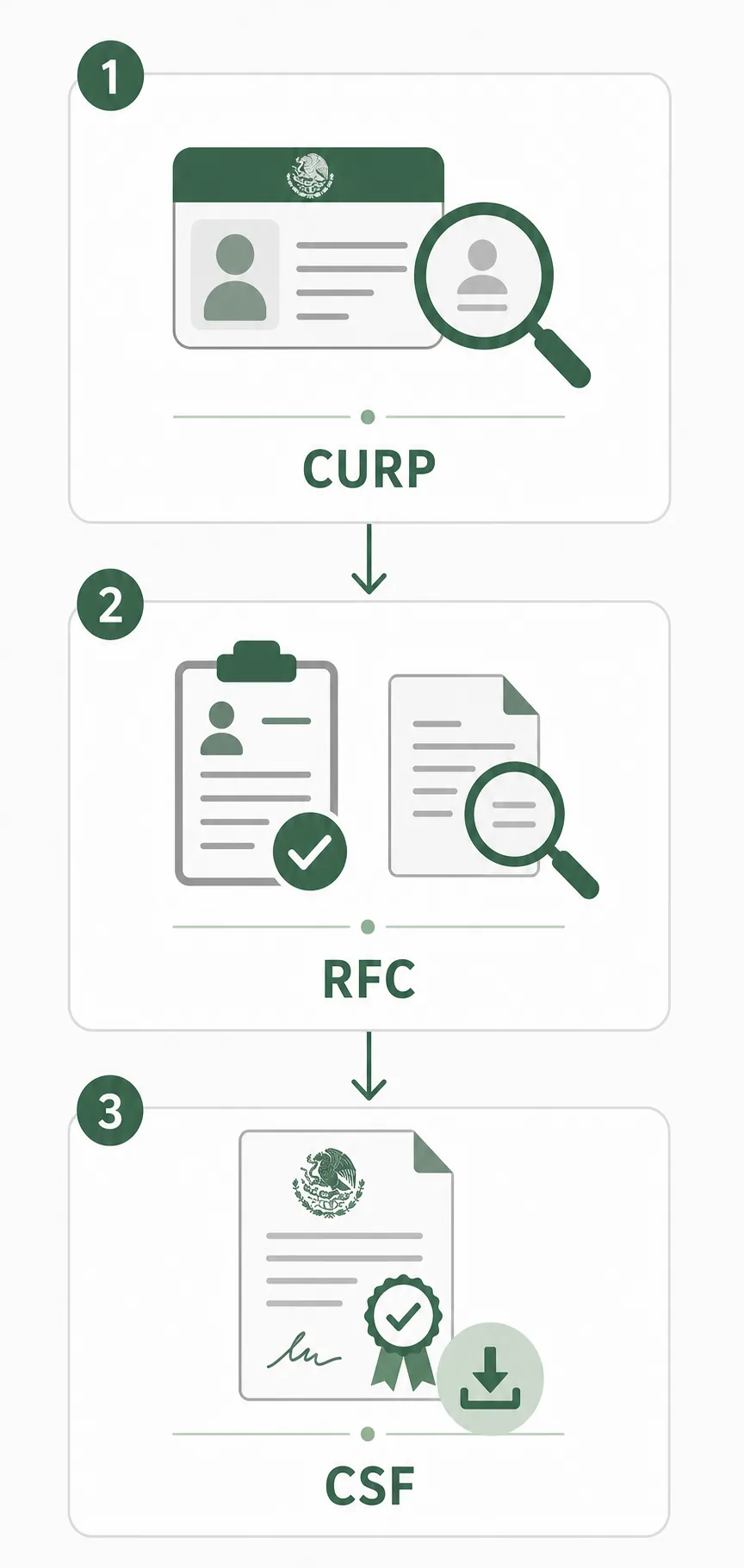 Flujo editorial con rutas para consultar RFC por CURP, verificar registro y descargar constancia fiscal